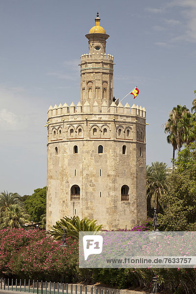 Der Turm Torre del Oro  Sevilla  Andalusien  Spanien  Europa  ÖffentlicherGrund