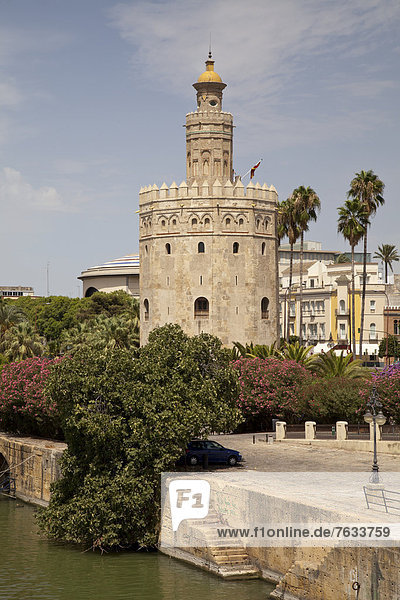 Der Turm Torre del Oro am Guadalquivir  Sevilla  Andalusien  Spanien  Europa  ÖffentlicherGrund