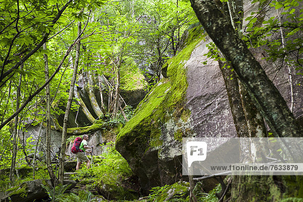 Man hiking in the primeval forest of the Bavona Valley  Valle Maggia  Ticino  Switzerland  Europe