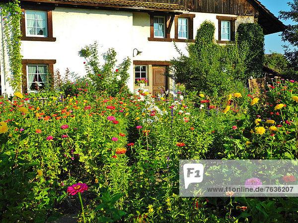 Bauernhaus Blume Wohnhaus Garten Schweiz Zürich