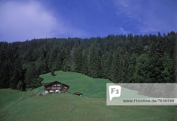 Europa Wohnhaus Landschaft grün Chalet Wiese Berner Oberland Gstaad Schweiz