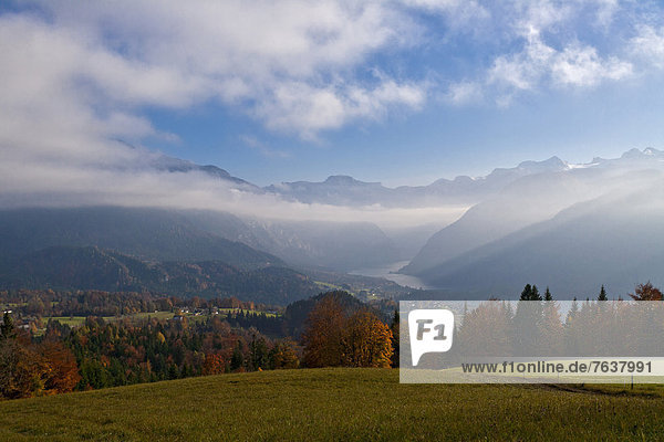 Helligkeit Europa Wald Nebel Holz Herbst Österreich Laub Stimmung Oberösterreich
