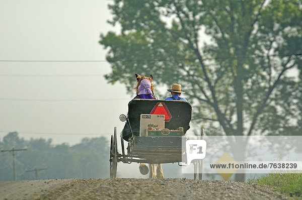 Canada  Horse  carriage  Mennonite  heritage  Ontario  St. Jacobs  buggy  countryside  couple  man  woman  day  daytime  drawn  dusty  female  horse drawn  male  men  outdoor  people  riding  road  rural  rural community  travel  woman