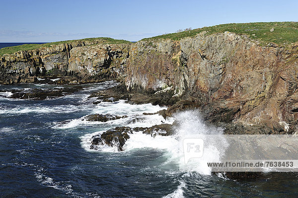 Rugged  surf  cliffs  Coastline  Elliston  Newfoundland  Canada  coast  sea  landscape  rocky  rocks