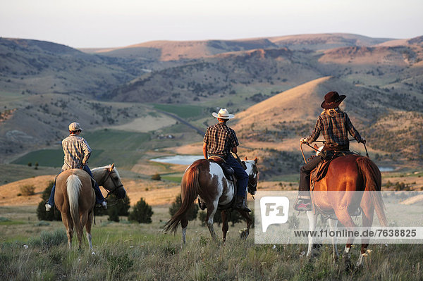 Vereinigte Staaten von Amerika  USA  Frau  Sport  Amerika  grün  Tal  reiten - Pferd  Gras  Mädchen  Cowboy  Cowgirl  Oregon  Ranch