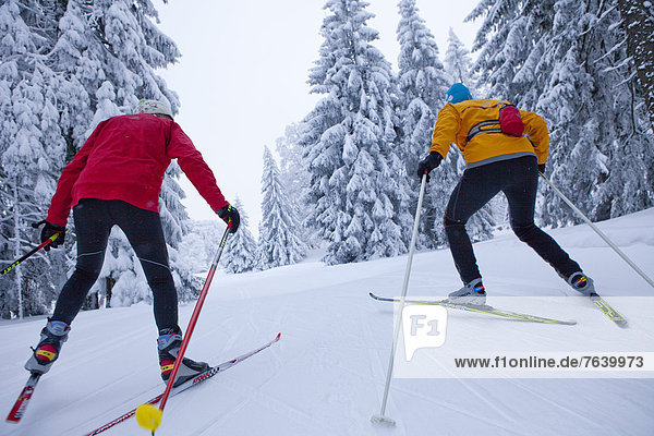 Winter Wald Holz Ski Langlaufski Wintersport