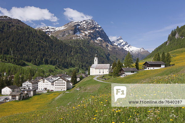 Europa Dorf Wiese Kanton Graubünden Schweiz