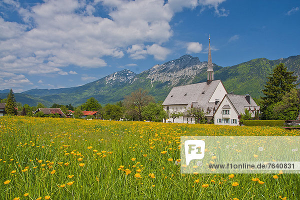 Blumenwiese  Europa  Berg  Himmel  Vertrauen  Kirche  Religion  Bayern  Berchtesgaden  Deutschland