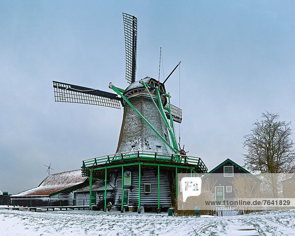 Windturbine  Windrad  Windräder  Europa  Winter  Eis  Niederlande  Schnee