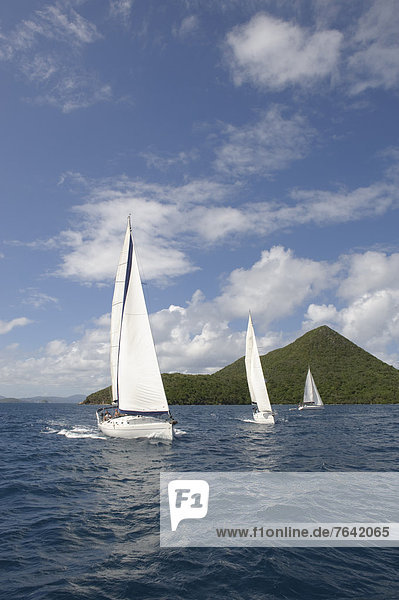 Segeln  Boot  Meer  Yacht  Insel  Karibik  Britische Jungferninseln  Tortola  Virgin Islands
