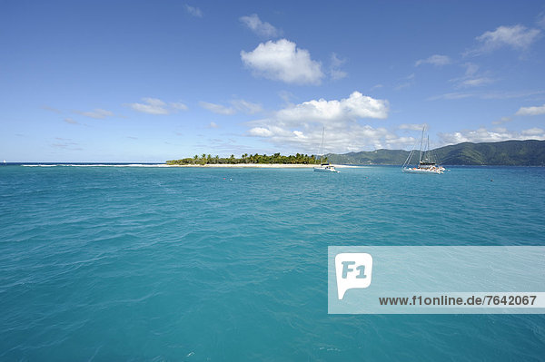 Strand  Küste  Meer  Insel  Karibik  Britische Jungferninseln  Virgin Islands