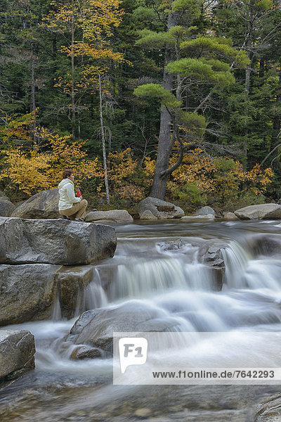 Vereinigte Staaten von Amerika USA Landschaftlich schön landschaftlich reizvoll Wasser Frau Ostküste Amerika Wald Natur Fluss Herbst Nordamerika Wasserfall Neuengland Außenaufnahme Nebenstraße Kolben New Hampshire