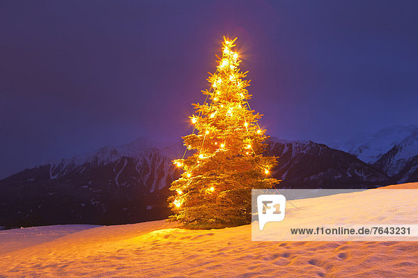 Weihnachtskarte  Adventskalender  beleuchtet  Europa  Berg  Winter  Abend  Baum  gelb  Himmel  Weihnachten  Weihnachtsbaum  Tannenbaum  blau  Advent  Österreich  Abenddämmerung  Mieminger Plateau  Stimmung  Schnee  Dämmerung  Tirol