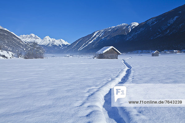 Spur Europa Berg Winter ruhen Reise Ruhe Himmel Wald Holz Stille blau Österreich Imst Rest Überrest Schnee Tirol