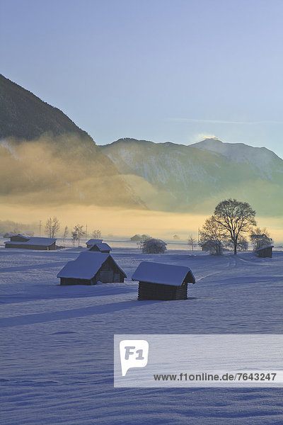 hoch  oben  Europa  Berg  Winter  Urlaub  Reise  Abend  Baum  gelb  Himmel  Nebel  blau  Abenddämmerung  Österreich  Schnee  Tirol