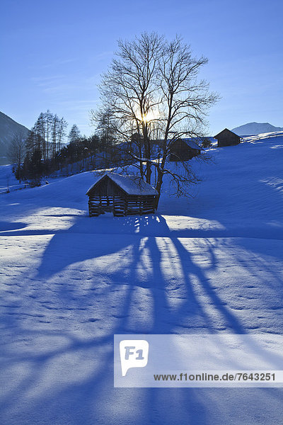 hoch  oben  leer  Europa  Winter  Urlaub  ruhen  Reise  Ruhe  schattig  Baum  Himmel  Stille  blau  Österreich  Rest  Überrest  Schnee  Sonne  Tirol