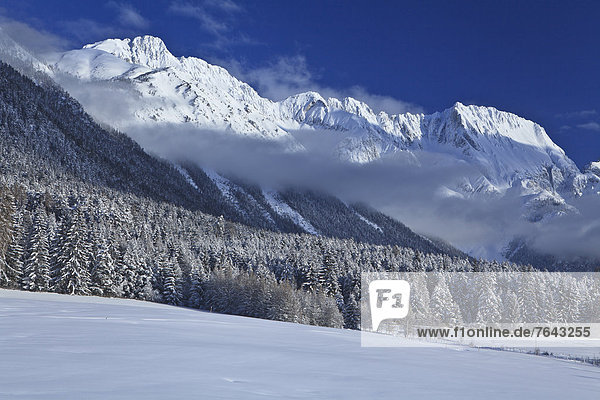 leer Europa Berg Winter Urlaub ruhen Wolke Reise Morgen Ruhe Himmel Wald Natur Holz Stille Österreich Mieminger Plateau Rest Überrest Schnee Tirol