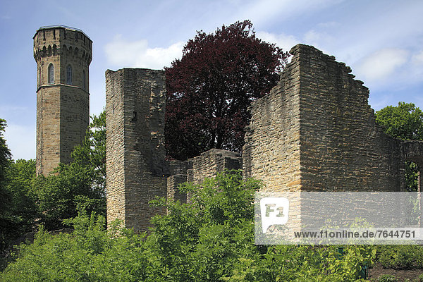 Burgruine  Mittelalter  Europa  Nordrhein-Westfalen  Dortmund  Dortmund-Syburg  Deutschland  Observation Tower  Ruhrgebiet  Westfalen