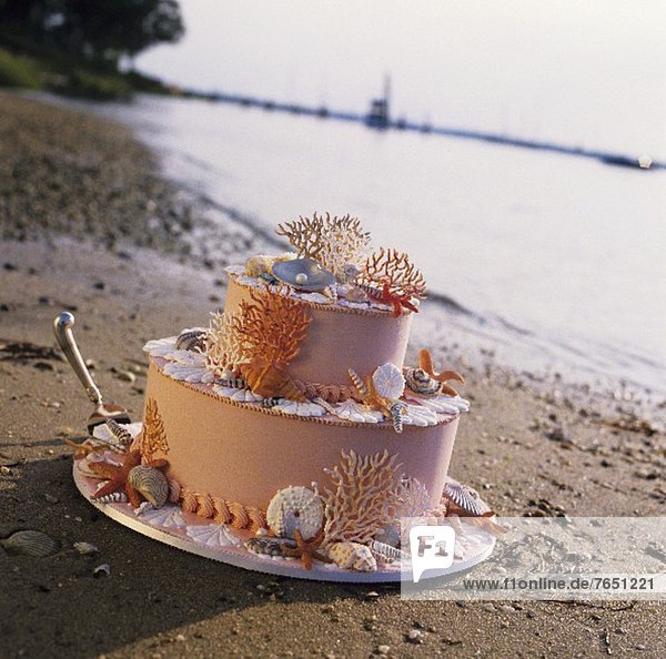 Beach Themed Wedding Cake on the Sand at Waters Edge