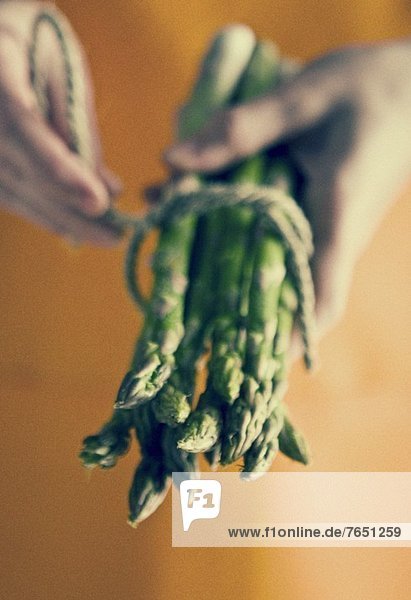 Hände halten einen Bund Spargel