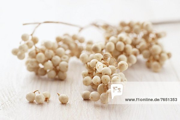 White peppercorns on the vine