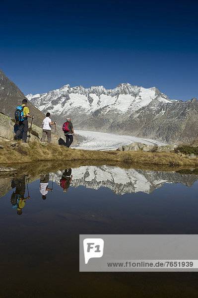 Hikers  Aletsch Glacier and the Bernese Oberland  UNESCO World Heritage Site  Bettmeralp  Valais  Switzerland  Europe