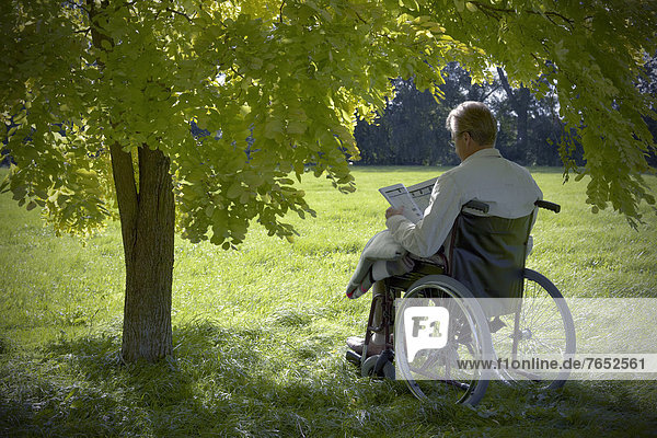 Elderly man sitting and reading a book in a wheelchair under a deciduous tree  Hagen  Lower Saxony  Germany  Europe