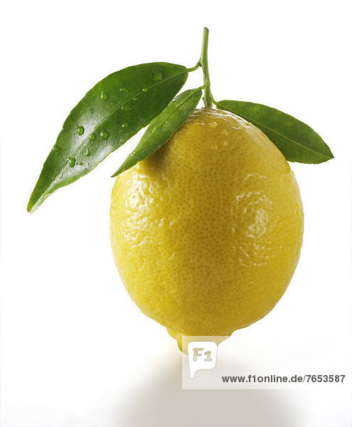 Fresh lemon with leaves