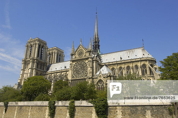 Kathedrale Notre-Dame  Paris  Frankreich  Europa