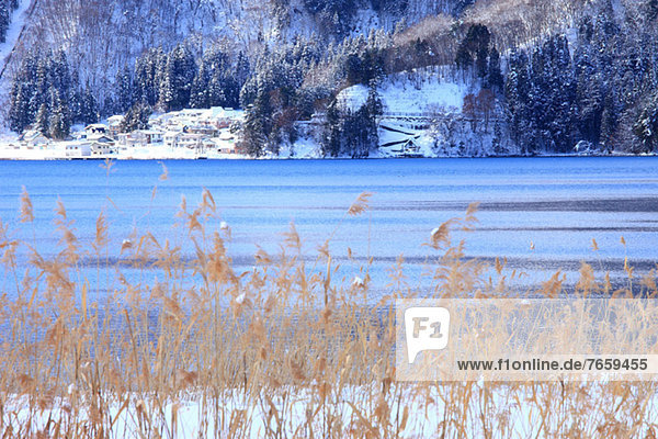 Lake Aoki  Nagano Prefecture