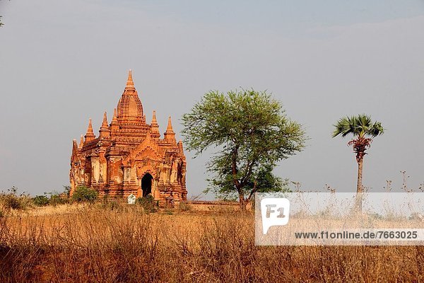 Ansicht  Myanmar  Tempel  Luftbild  Fernsehantenne  Pagode
