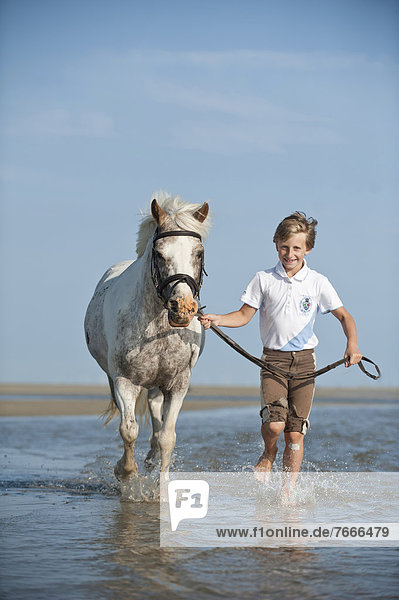 Girl leading a pony through the water  St. Peter-Ording  Schleswig-Holstein  Germany  Europe