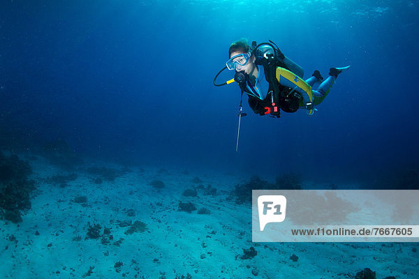 Diver  South China Sea