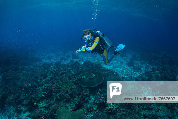 Diver at a coral reef checking his depth gauge  South China Sea