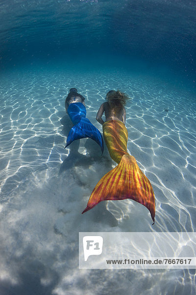 Mermaids  girls wearing mermaid costumes swimming in the shallow water of a lagoon  underwater
