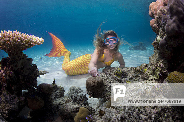 Mermaid  girl wearing a mermaid costume swimming in the shallow water of a lagoon  underwater