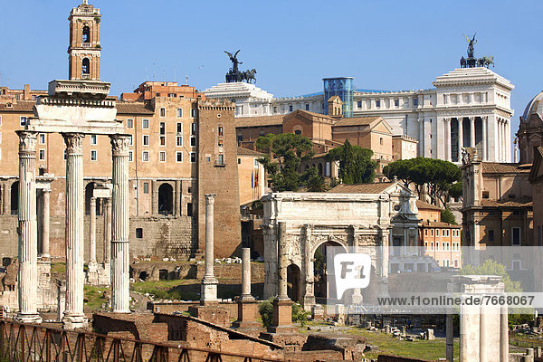 Das Forum Romanum  Rom  Italien  Europa