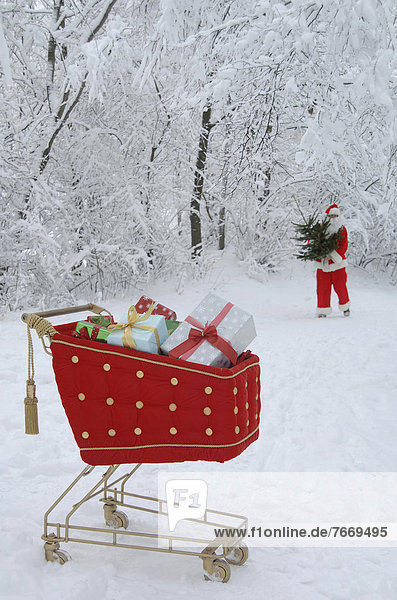 Geschenk Schnee Wald Weihnachtsbaum Tannenbaum rot Fokus auf den Vordergrund Fokus auf dem Vordergrund Einkaufswagen Samt