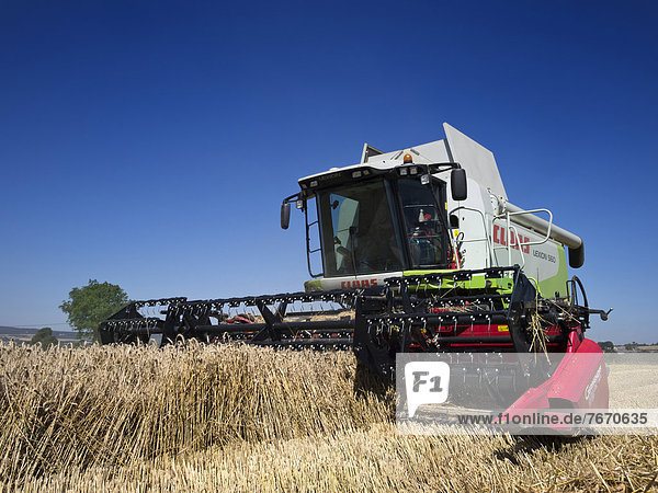 Mähdrescher bei der Getreideernte  Bretagne  Finistere  Frankreich  Europa