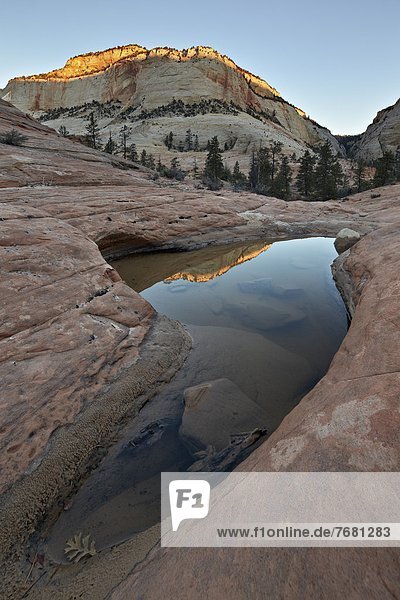 Vereinigte Staaten von Amerika  USA  Felsbrocken  Beleuchtung  Licht  Hügel  Spiegelung  Nordamerika  Zion Nationalpark  Sandstein  Utah