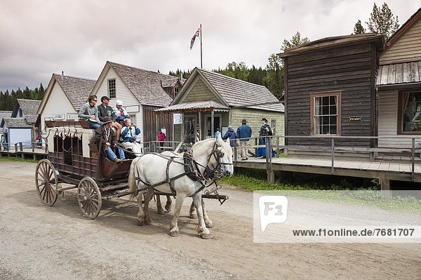Stagecoach ride in historic gold town of Barkersville  British Columbia  Canada  North America