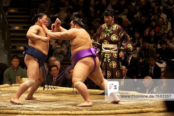 Wettbewerb  Tokyo  Hauptstadt  Ringen  Stadion  Asien  Japan  Sumo