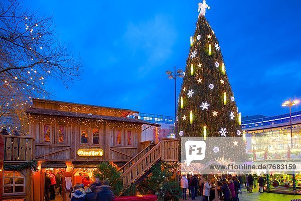 Europa  Baum  Weihnachten  Dortmund  Deutschland  Markt  Nordrhein-Westfalen