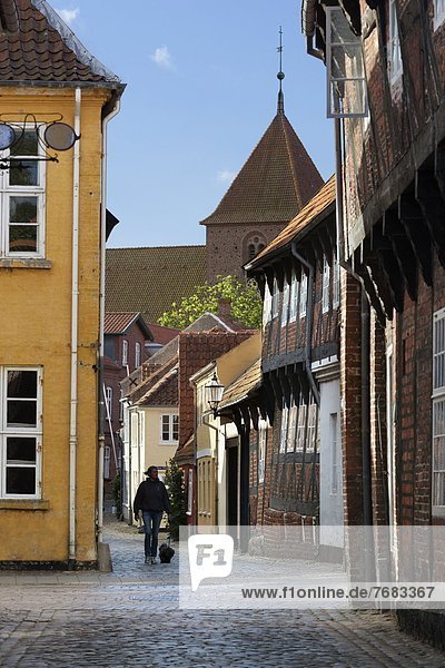 Kopfsteinpflaster  Europa  Gasse  Stadt  Dänemark  Jütland  alt  Ribe  Skandinavien