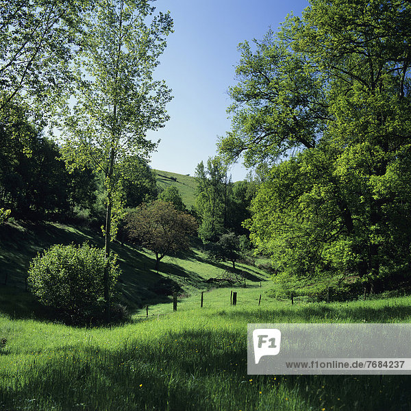 Green landscape  Sioule valley  Bourbonnais  Auvergne  France  Europe