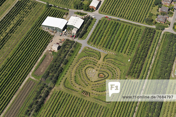 Aerial view  Herzapfelhof orchard