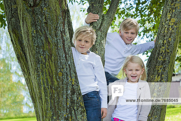 Three children standing on a tree