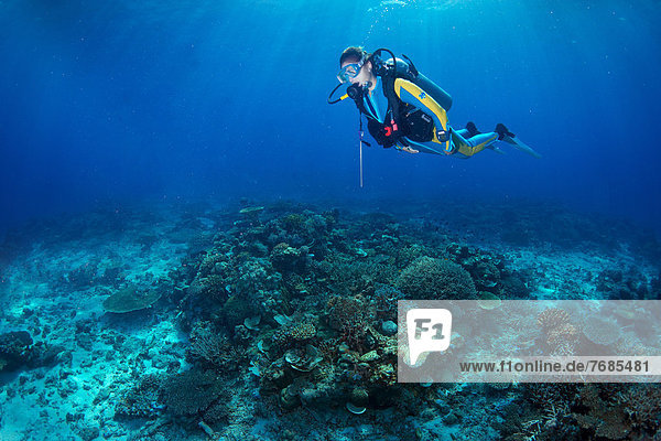 Scuba diver in a coral reef  South China Sea