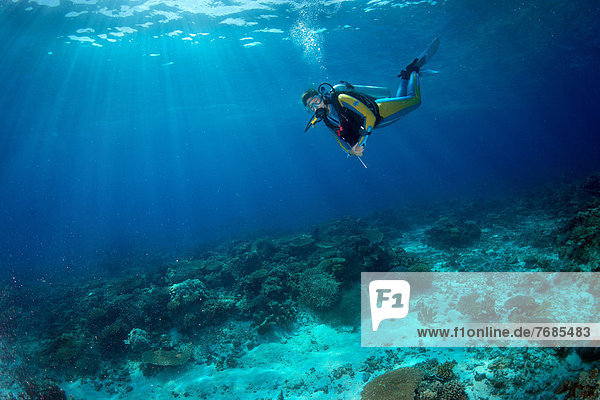 Scuba diver in a coral reef  South China Sea