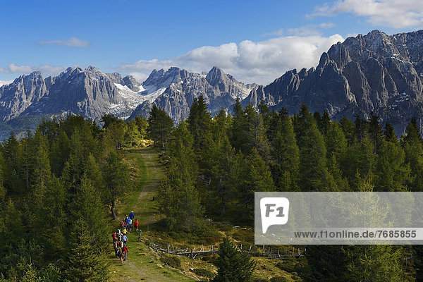 Lama-Wanderer bei der Hochsteinhütte  Lama-Tour  hinten die Karnischen Dolomiten  Oberlienz  Pustertal  Osttirol  Österreich  Europa